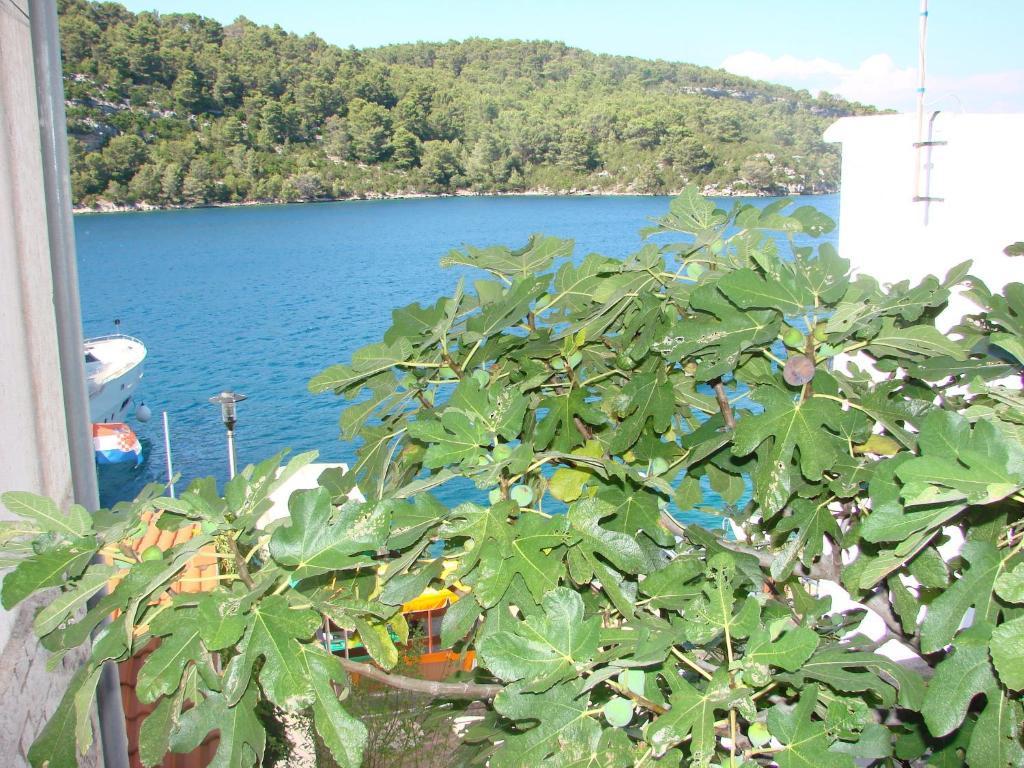 Hotel Sea House Mljet à Polače Chambre photo